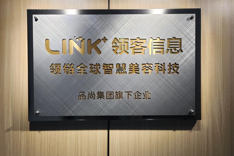 广州领客信息技术 本土科技企业的数字化赋能之路